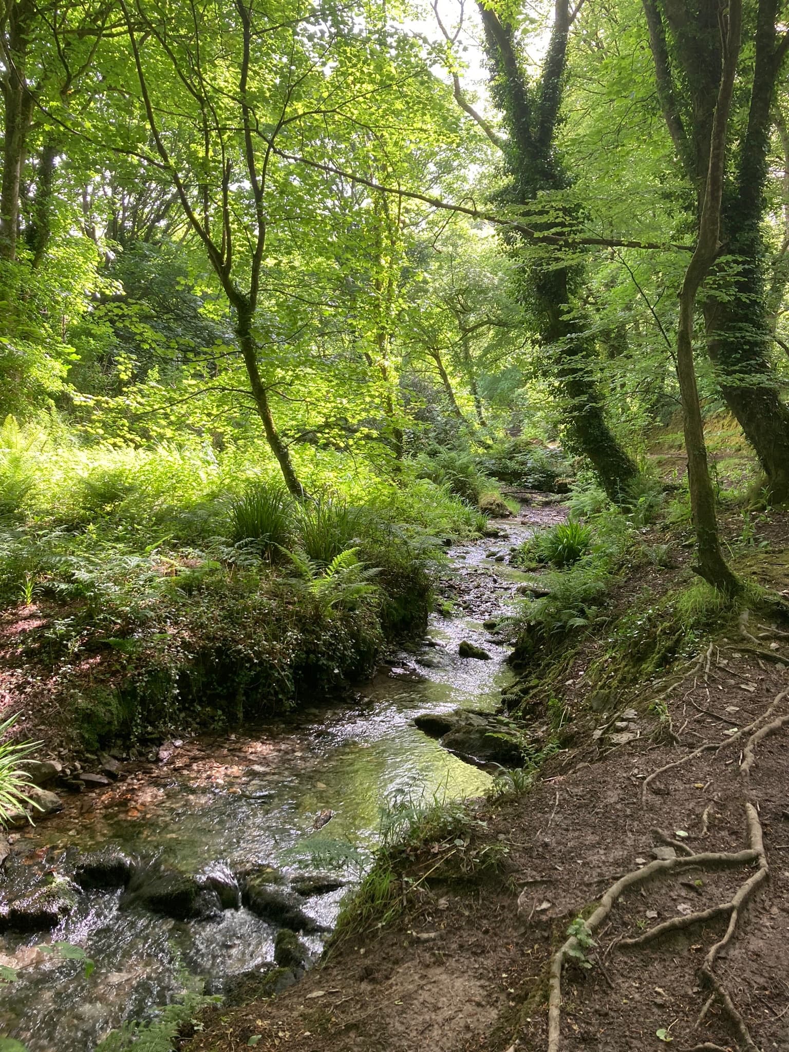 Little Beside cottage